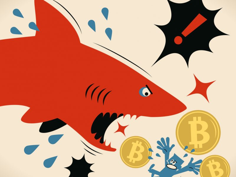 Blue Cartoon Characters Design Vector Art Illustration.
Businessman with Bitcoin Cryptocurrency is getting attacked by a shark.
Concept: Bitcoin's blockchain has been hijacked.